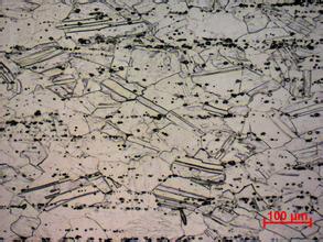 镍基合金金相分析